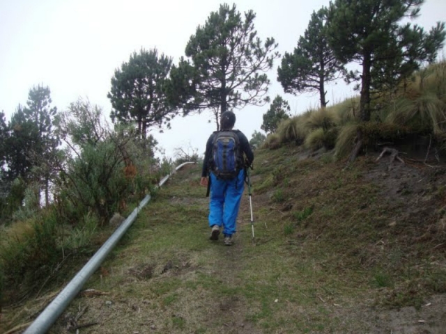 Ruta Canam